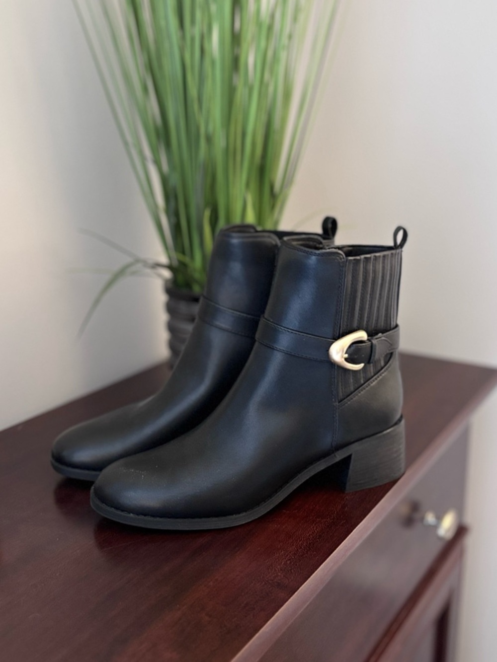 DV by Dolce Vita Buckled Chelsea boot. NWOB